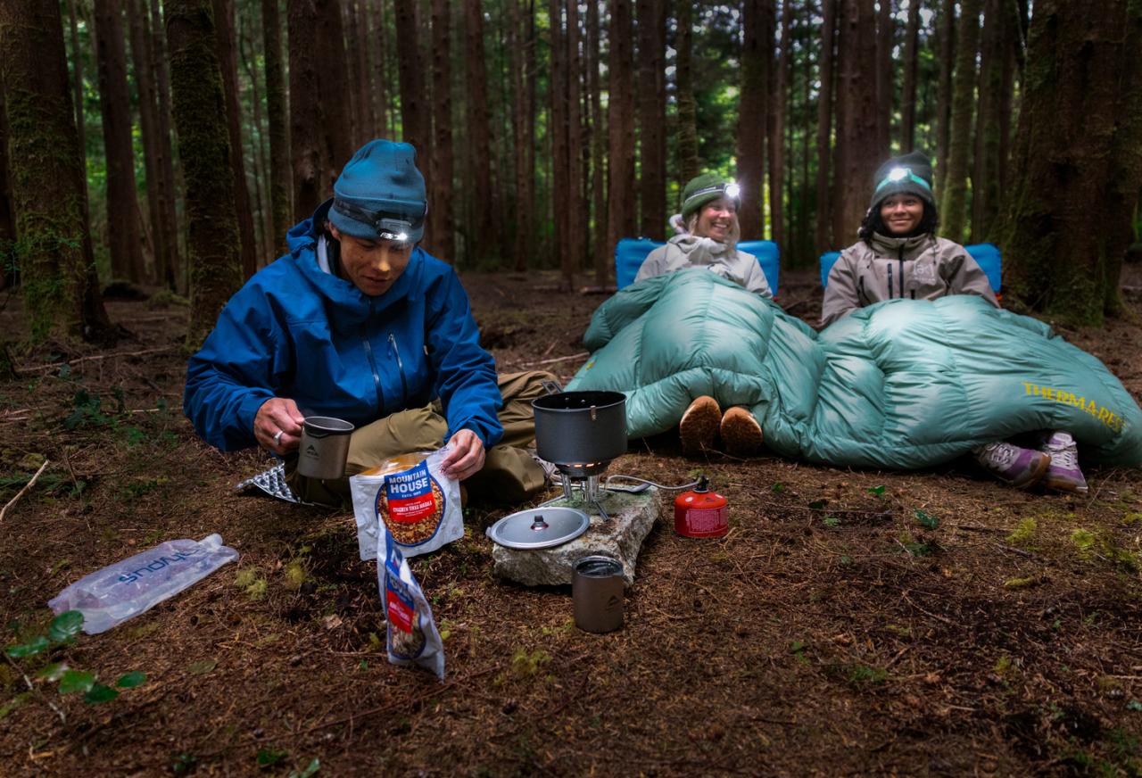 CORUS 20F/-6C Regular Hedgegreen péřová přikrývka zelená