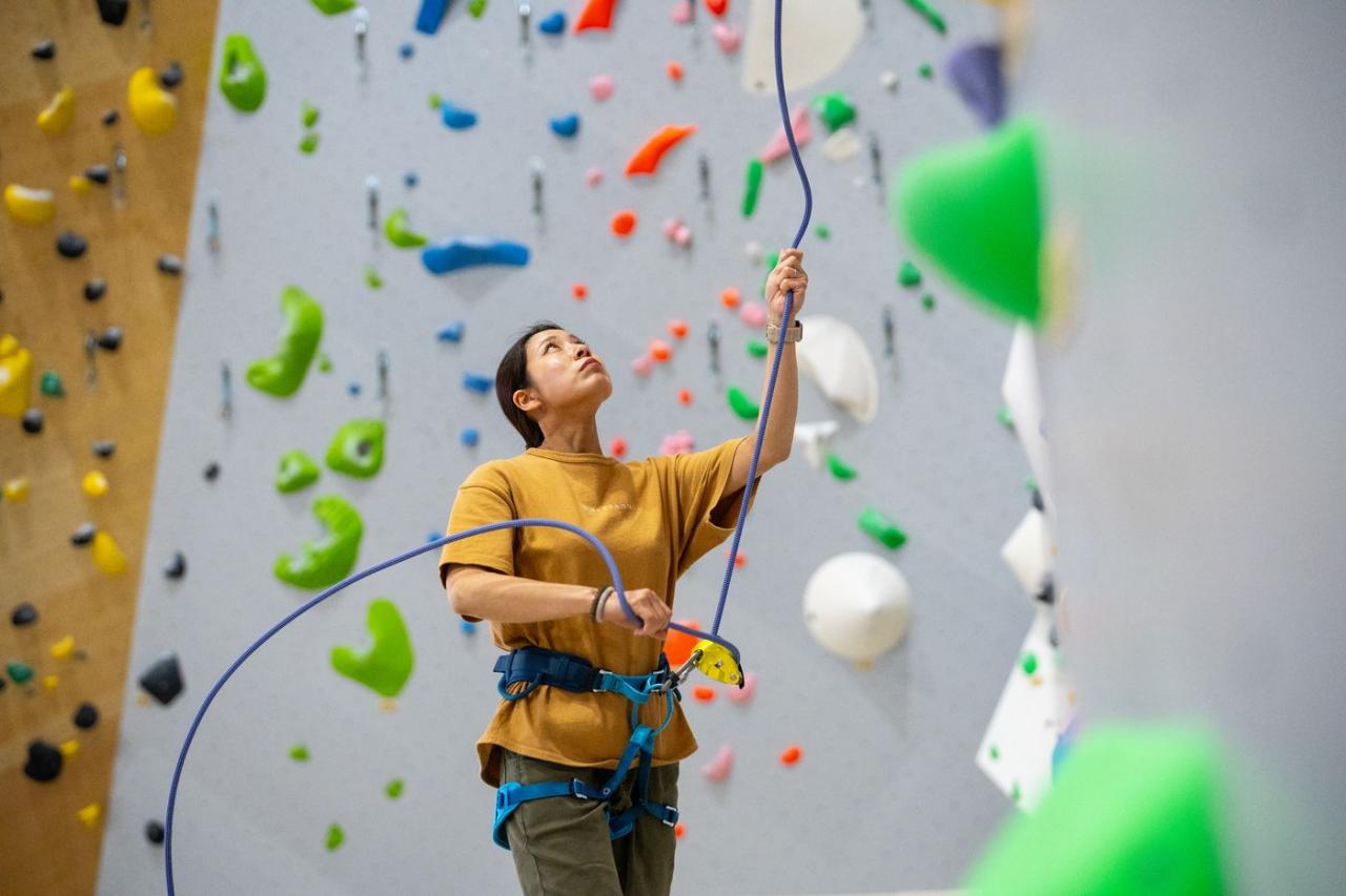 GRIGRI+ GREEN jistící brzda zelená