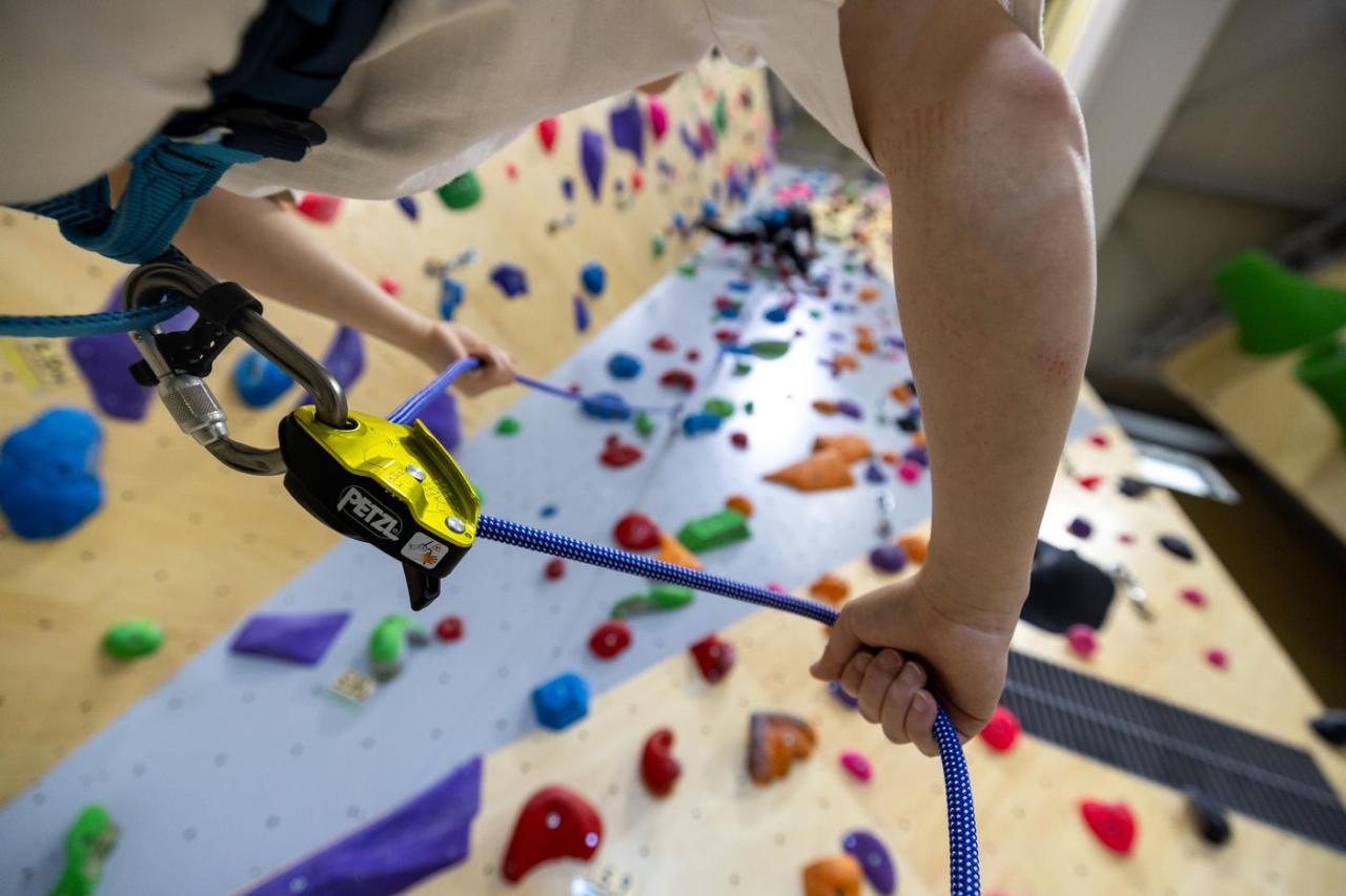 GRIGRI+ GREEN jistící brzda zelená