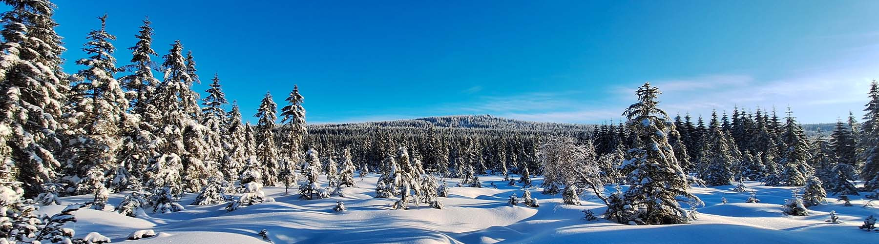 Ohlédnutí za JIBE JAHA 2024