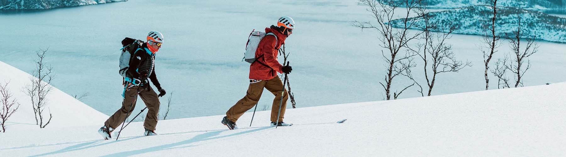 Noc tuleních pásů